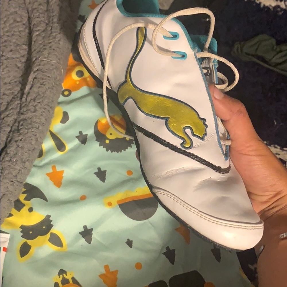 Hand painted puma - Picture 2 of 5